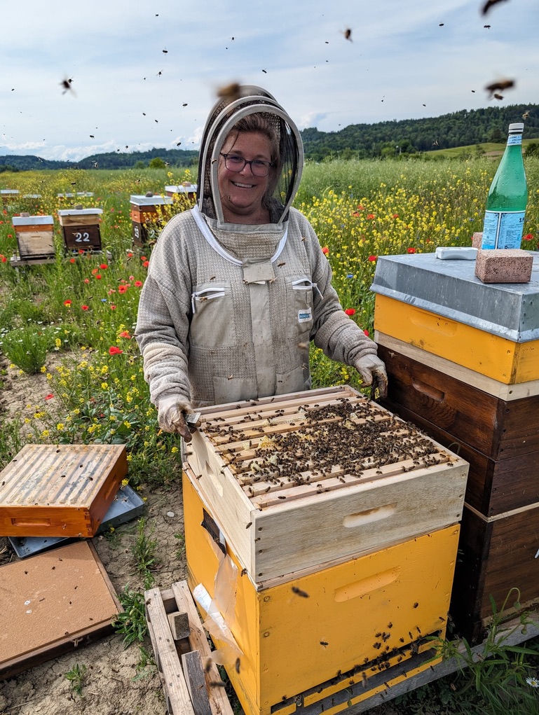 Dominique Ruckstuhl bei der Arbeit an einem offenen Bienenvolk
